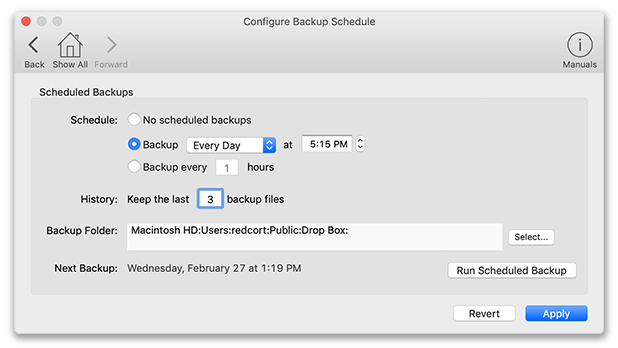 Pro Edition automatic backup schedule window