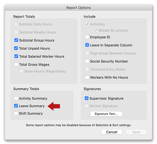 Selecting Leave Summary for the Timecard Summary report