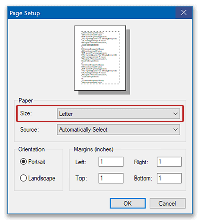 Page Setup window in Virtual TimeClock