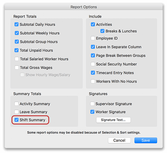 Virtual TimeClock Report Options