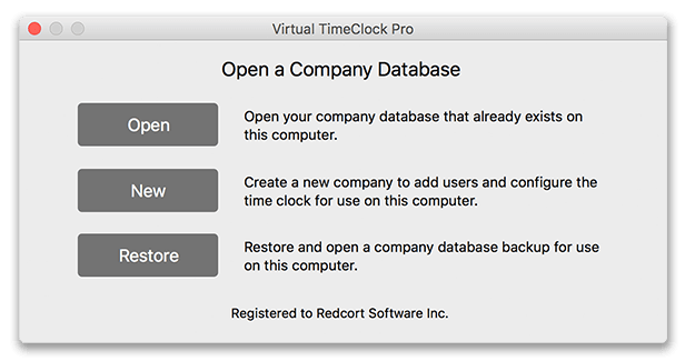 Virtual TimeClock Pro Open Database
